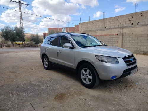 Hyundai SantaFe 2010 SantaFe