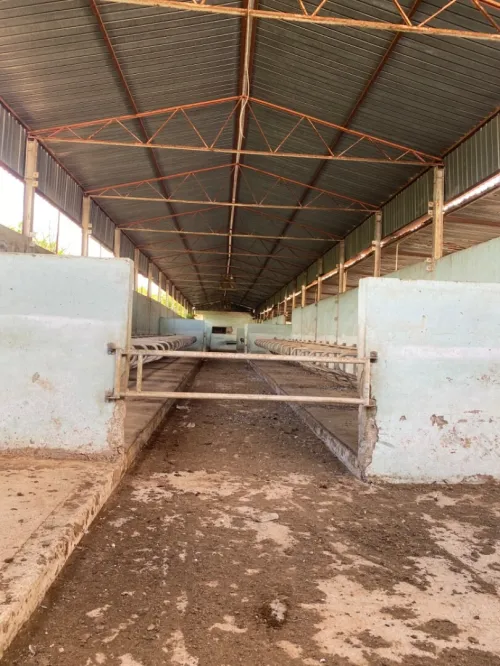 Location Hangar Chlef Chlef