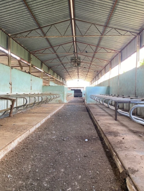 Location Hangar Chlef Chlef