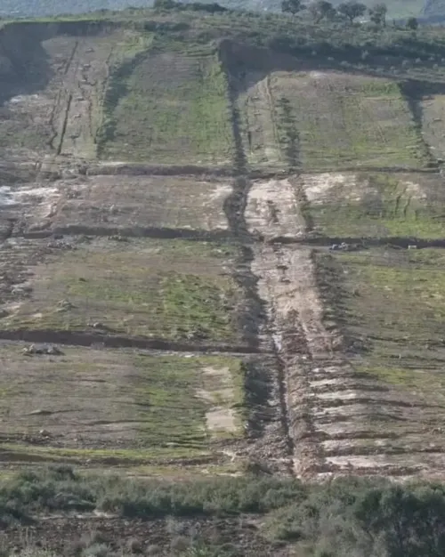 Vente Terrain Skikda El harrouch