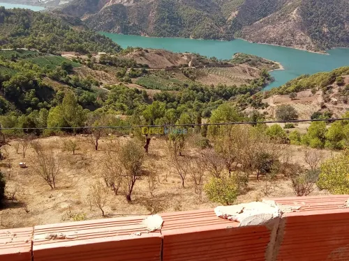 Vente Villa Tipaza Damous