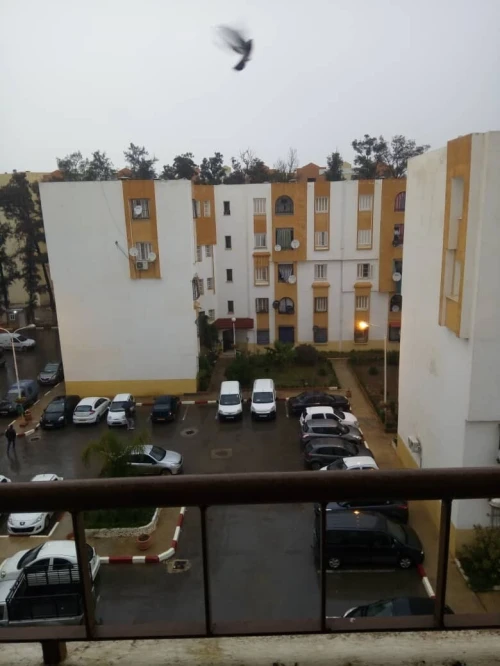 Vente Appartement F4 Blida Chebli