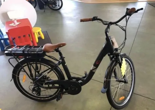 Surpass electric bike Electric bike 2025