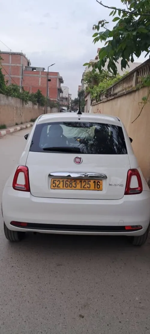 Fiat 500 2025 