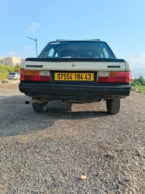 Peugeot 305 1984 305