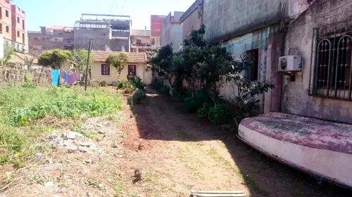 Vente Terrain Alger Bordj el bahri
