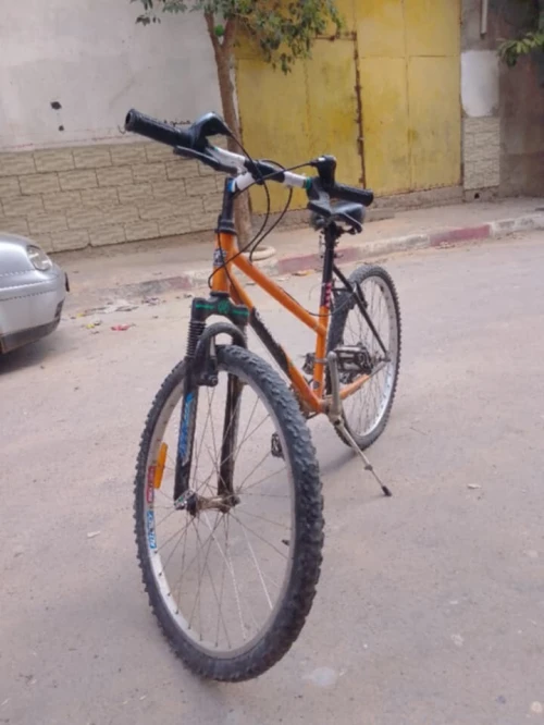 العلمة