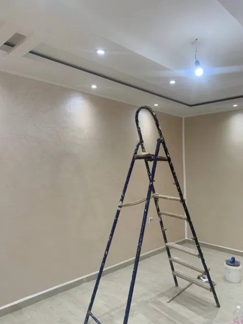 Peintre Professional 