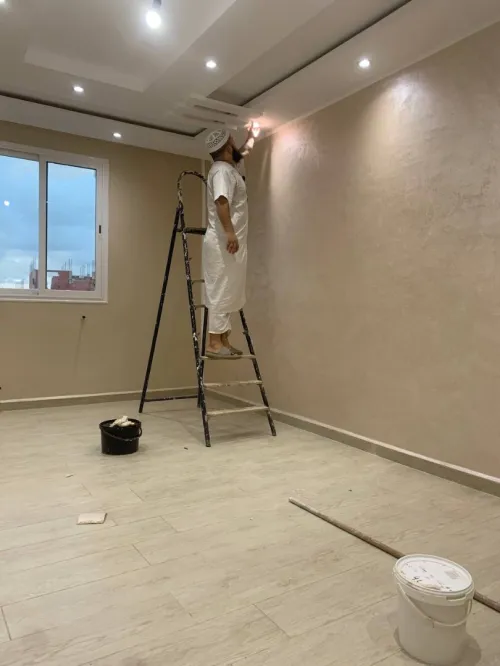 Peintre Professional 