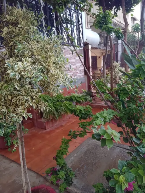 Vente Appartement F3 Blida Larbaa