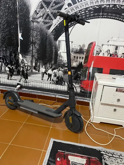 Trotinette electric 
