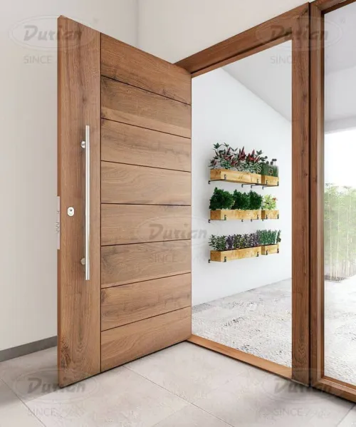 Portes d'entrée modernes 
