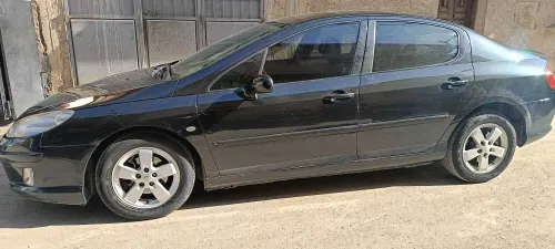 Peugeot 407 2007 L tout