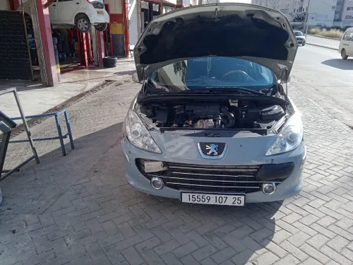 Peugeot 307 2007 Oxygo