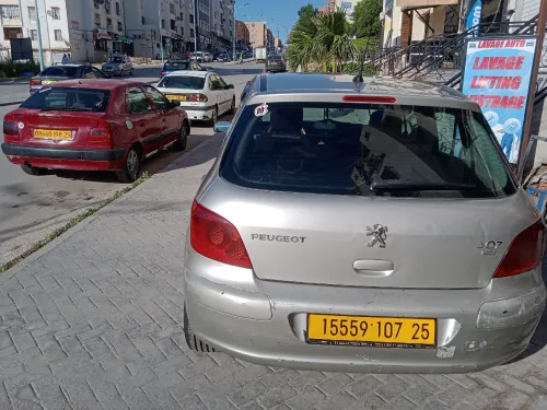 Peugeot 307 2007 Oxygo