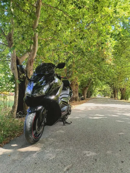 Yamaha 530 2015