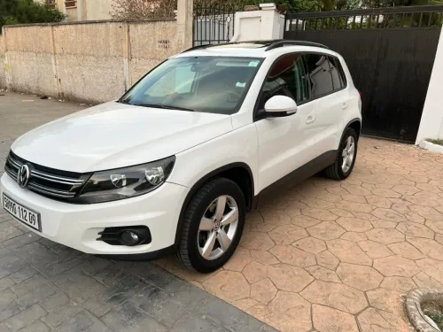 Volkswagen Tiguan 2012 Style