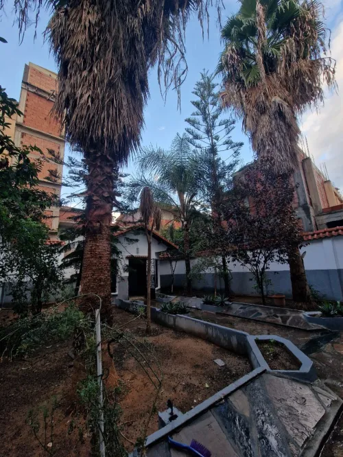 Vente Villa Alger Les eucalyptus