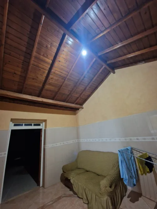 Vente Villa Alger Les eucalyptus