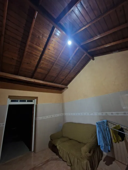 Vente Villa Alger Les eucalyptus