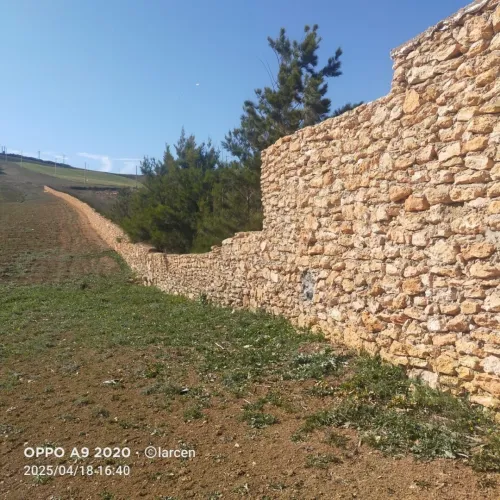 Vente Terrain Agricole Oran Ain el kerma