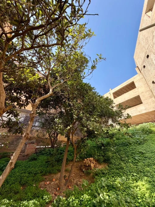 Vente Villa Alger Saoula