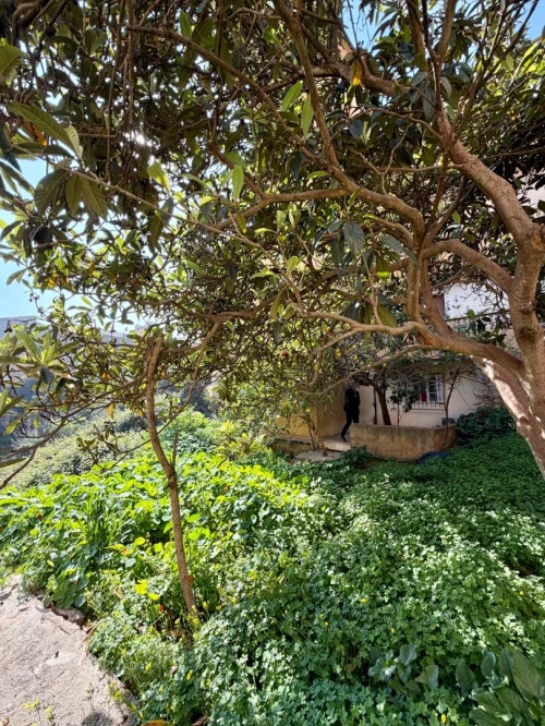 Vente Villa Alger Saoula