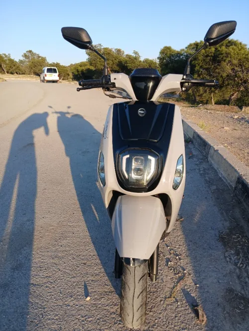 Vms Estat 2022