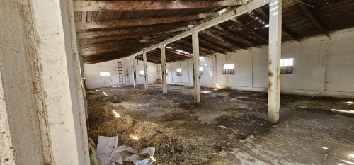 Vente Terrain Agricole Mila Chelghoum laid