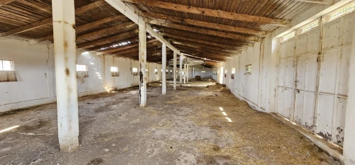 Vente Terrain Agricole Mila Chelghoum laid