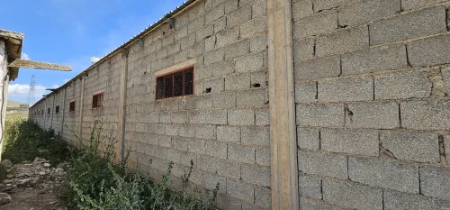Vente Terrain Agricole Mila Chelghoum laid