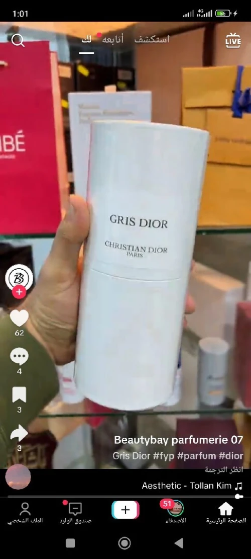 Dior gris