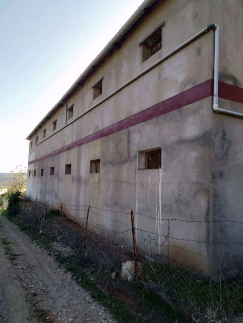 Vente Terrain Sidi bel abbes Ain el berd