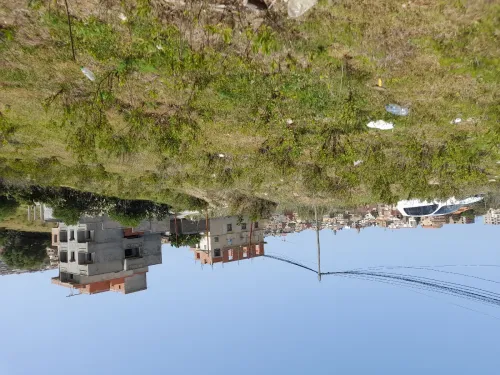 Vente Terrain Alger Bouzareah