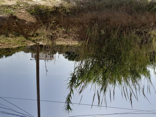 Vente Terrain Alger Bouzareah