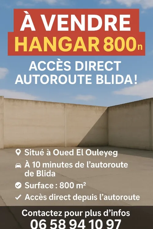 Vente Hangar Blida Ouled el alleug