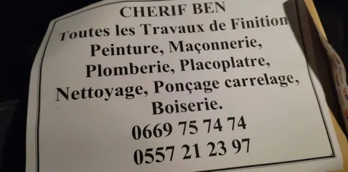  entreprise  de nettoyage et d'entretien des jardins et pentur moderne et plako 