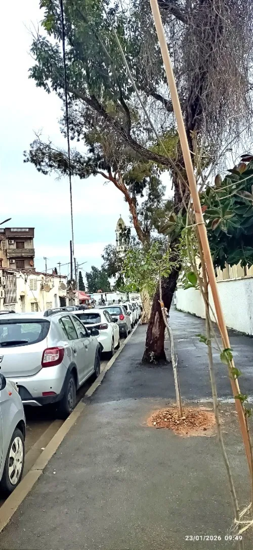 Vente Terrain Alger Bir mourad rais
