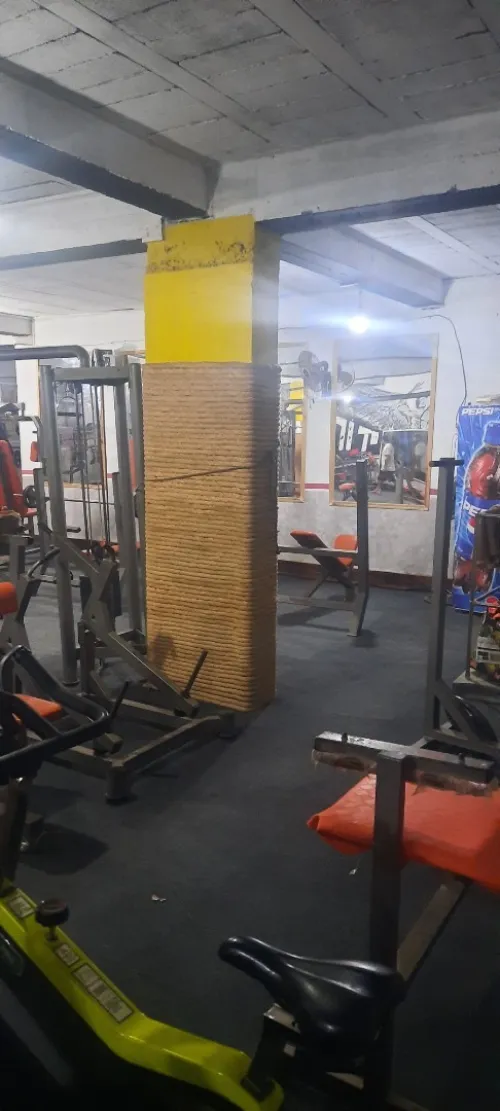 Matériels de musculation 