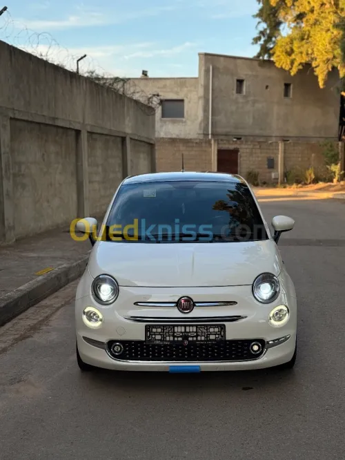 Fiat 500 2024 