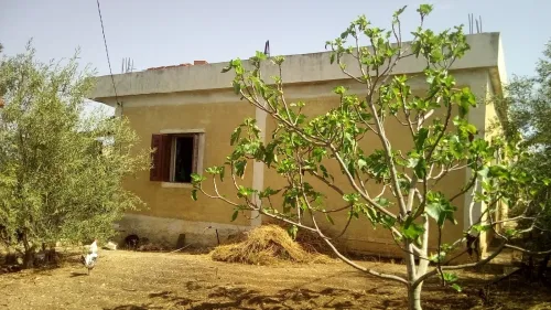 Vente bien immobilier Guelma Hammam nbail