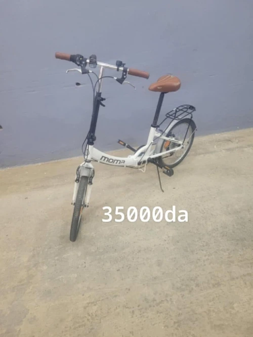 Des Vélos ville  électrique et carbone 