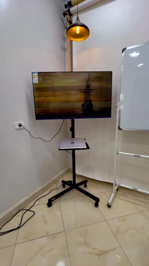 Support TV mobile professionnel