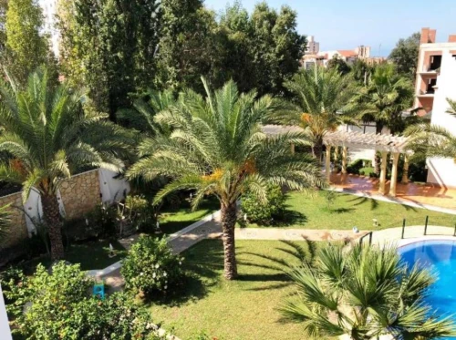 Cherche achat Appartement F10+ Alger Alger centre