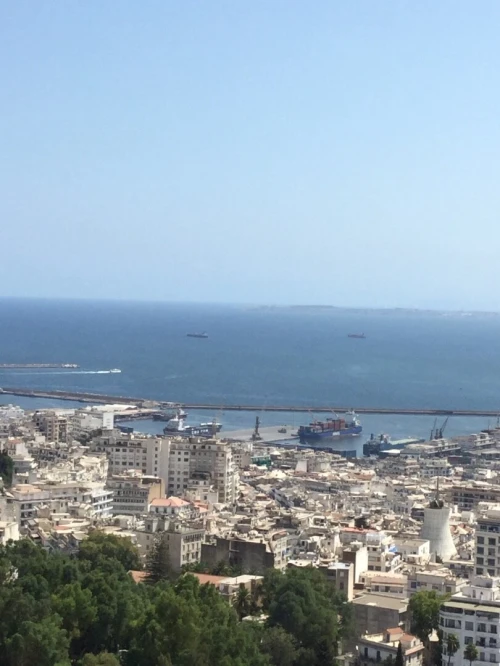 Vente Villa Alger El biar