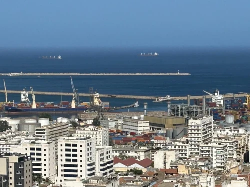 Vente Terrain Alger Dely brahim