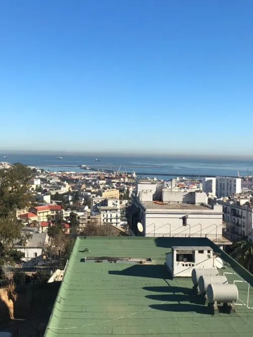 Cherche location Villa Alger Hydra