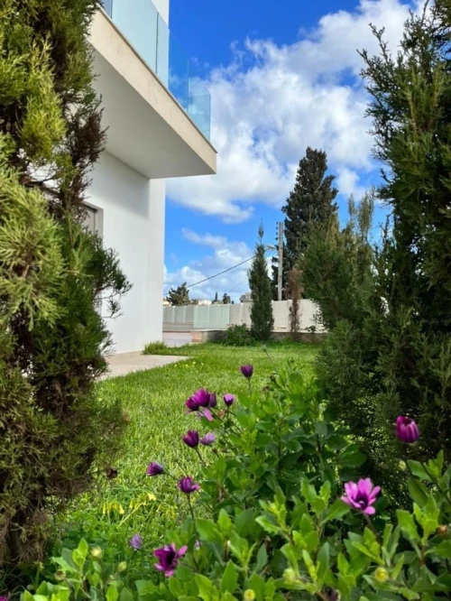 Cherche location Appartement Penthouse Studio F2 F3 Alger Alger centre