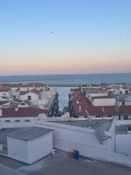 Cherche location Villa Alger Alger centre