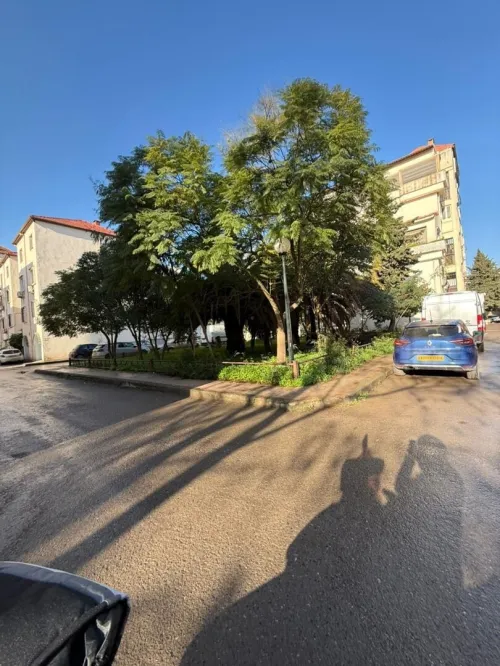 Location Appartement F4 Alger Dely brahim